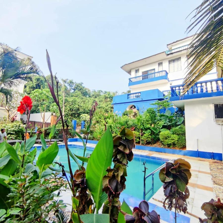 Amazing Hilltop 4 Bhk Villa With Private Pool Near Кандолим Экстерьер фото
